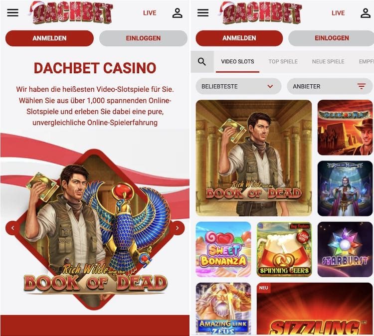 DachBet Casino App